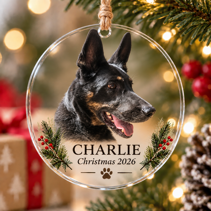 Custom Pet Photo Christmas Ornament